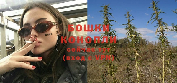 мет Нягань