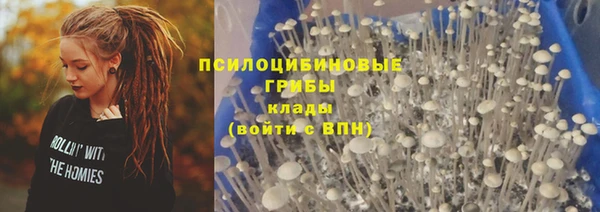 мет Нягань