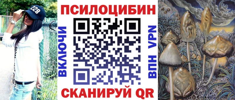 Галлюциногенные грибы MAGIC MUSHROOMS  Купить  Усть-Илимск 